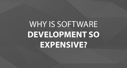 Why is Software Development so Expensive? text image
