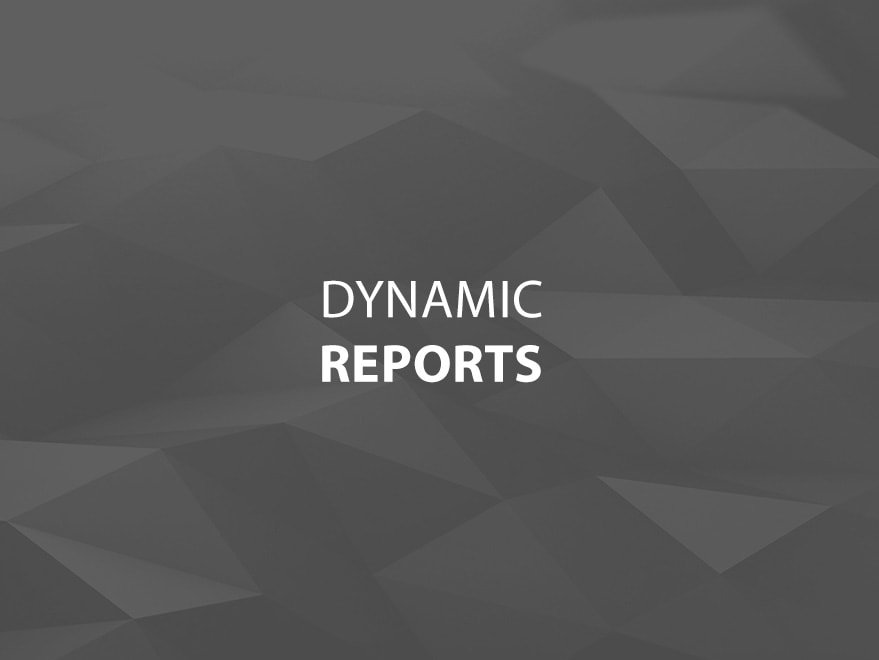 Dynamic Reports Main Title Image
