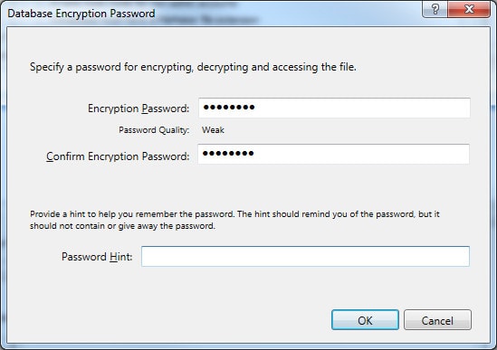 Encryption Password Entry Window