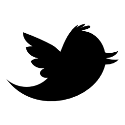 Image of the Twitter bird logo