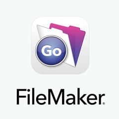 filemaker go windows